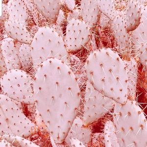 Meet your Posher, Etty